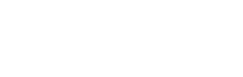 Première Urgence Internationale